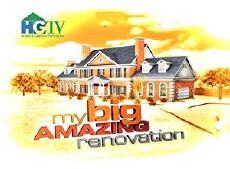 My Big Amazing Renovation (2008) - Stream Online