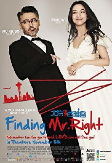 Finding Mr. Right (2013) - Stream Online