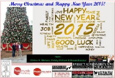 Diversity News Magazine, Diversity News Radio and Diversity News TV Holiday Public Service Announcement (2014) - Stream Online