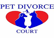 Pet Divorce Court (2019) - Stream Online