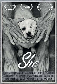 She (2013) - Stream Online