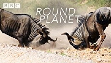 Round Planet (2016) - Stream Online