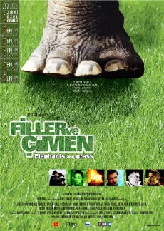 Filler ve Çimen (2000) - Stream Online