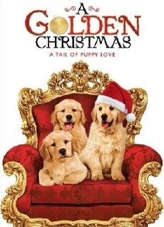 A Golden Christmas (2009) - Stream Online
