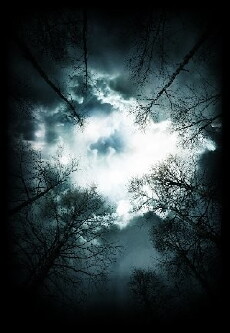 Project RCVR (2011) - Stream Online