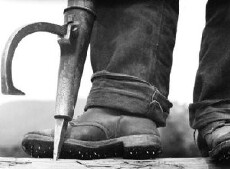 King Spruce (1920) - Stream Online