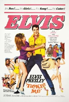 Tickle Me (1965) - Stream Online