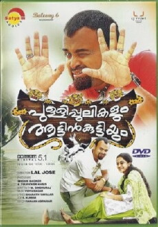 Pullipulikalum Aattinkuttiyum (2013) - Stream Online