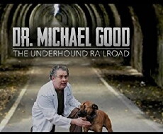 Dr. Good: The Underhound Railroad (2017) - Stream Online