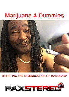 Marijuana 4 Dummies (2017) - Stream Online