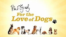 Paul O'Grady: For the Love of Dogs (2012) - Stream Online