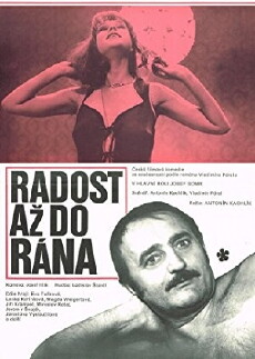Radost az do rana (1978) - Stream Online