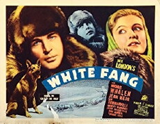 White Fang (1936) - Stream Online