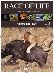 Race of Life (2015) - Stream Online