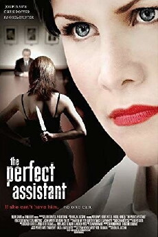 The Perfect Assistant (2008) - Stream Online