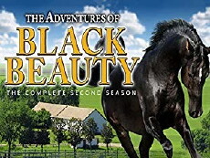 The New Adventures of Black Beauty (1992) - Stream Online