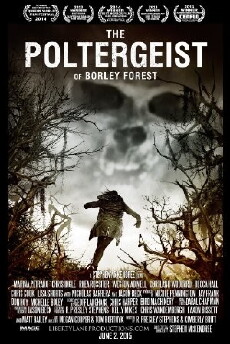 The Poltergeist of Borley Forest (2013) - Stream Online