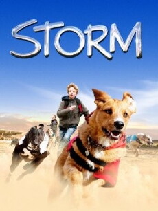 Storm - Sieger auf vier Pfoten (2009) - Stream Online