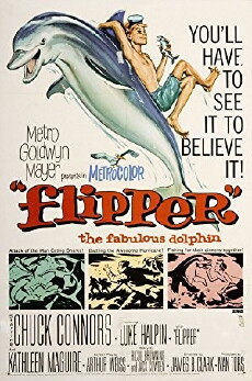 Flipper (1963) - Stream Online