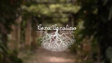 Cora Coralina: Todas as Vidas (2017) - Stream Online