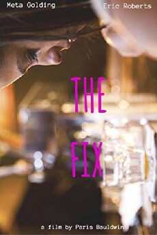 The Fix (2015) - Stream Online