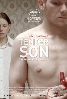 Tender Son: The Frankenstein Project (2010) - Stream Online