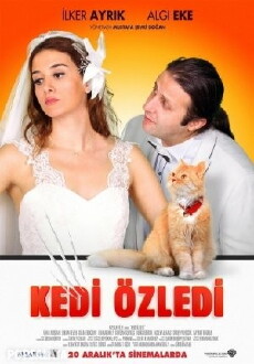 Kedi Özledi (2013) - Stream Online
