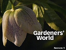 Gardeners' World (1968) - Stream Online