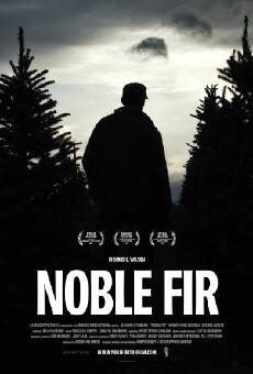 Noble Fir (2014) - Stream Online