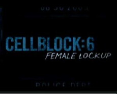 Cellblock 6: Female Lock Up (2010) - Stream Online