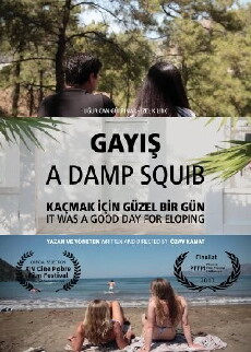 A Damp Squib (2016) - Stream Online