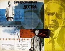 Enchanted Desna (1964) - Stream Online