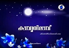 Kavyanilavu (2014) - Stream Online