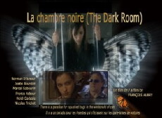 La chambre noire (2009) - Stream Online