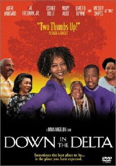 Down in the Delta (1998) - Stream Online