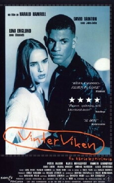 Vinterviken (1996) - Stream Online