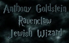 Anthony Goldstein, Ravenclaw, Jewish Wizard (2017) - Stream Online