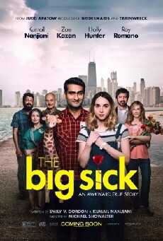 The Big Sick (2017) - Stream Online