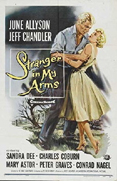 A Stranger in My Arms (1959) - Stream Online