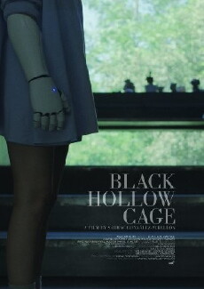 Black Hollow Cage (2017) - Stream Online