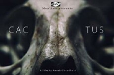 Cactus (2018) - Stream Online