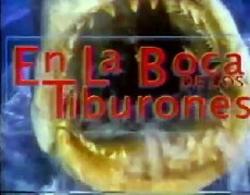 Catalino, en la boca de los tiburones (1992) - Stream Online