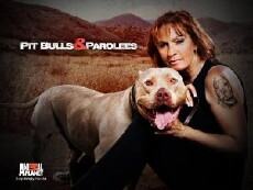Pit Bulls and Parolees (2009) - Stream Online