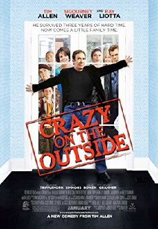 Crazy on the Outside (2010) - Stream Online