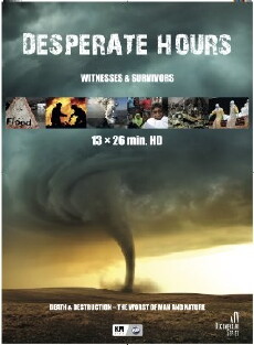 Desperate Hours (2016) - Stream Online