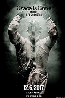 Grace Is Gone (2019) - Stream Online