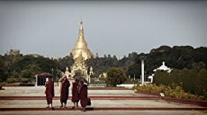 Walking in Their Shoes (2016) - Stream Online