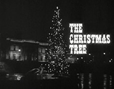 The Christmas Tree (1966) - Stream Online