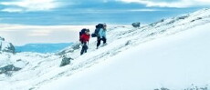 The Mountain (2011) - Stream Online