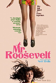 Mr. Roosevelt (2017) - Stream Online